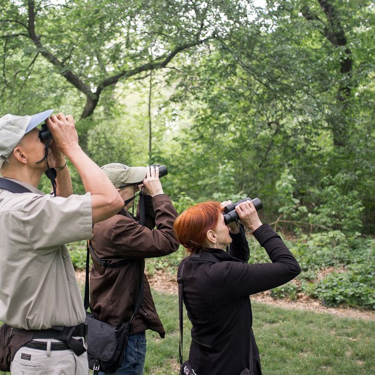 Birding Safari
